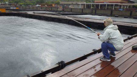 淡路じゃのひれフィッシングパーク 釣果
