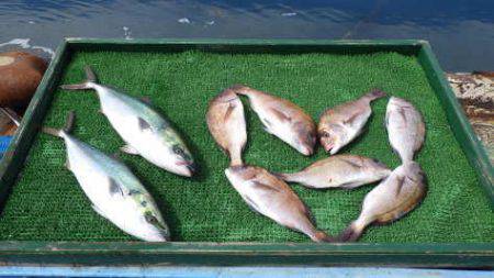 淡路じゃのひれフィッシングパーク 釣果