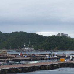 淡路じゃのひれフィッシングパーク 釣果