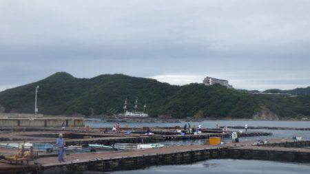 淡路じゃのひれフィッシングパーク 釣果