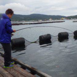 淡路じゃのひれフィッシングパーク 釣果