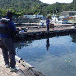 淡路じゃのひれフィッシングパーク 釣果