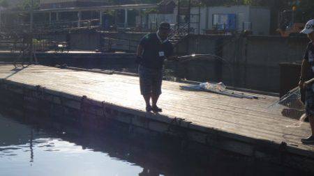 淡路じゃのひれフィッシングパーク 釣果