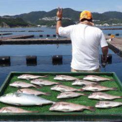 淡路じゃのひれフィッシングパーク 釣果