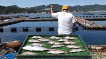 淡路じゃのひれフィッシングパーク 釣果