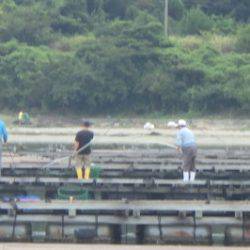 淡路じゃのひれフィッシングパーク 釣果