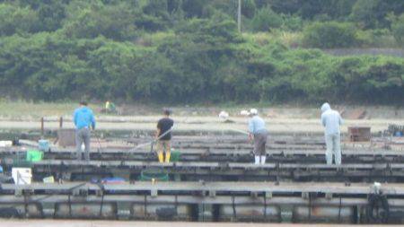 淡路じゃのひれフィッシングパーク 釣果