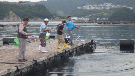淡路じゃのひれフィッシングパーク 釣果