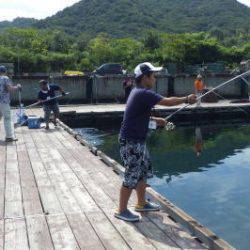 淡路じゃのひれフィッシングパーク 釣果