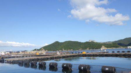 淡路じゃのひれフィッシングパーク 釣果