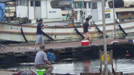 淡路じゃのひれフィッシングパーク 釣果