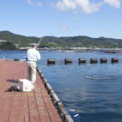淡路じゃのひれフィッシングパーク 釣果
