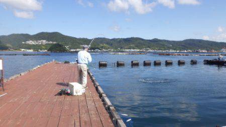 淡路じゃのひれフィッシングパーク 釣果