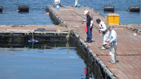 淡路じゃのひれフィッシングパーク 釣果
