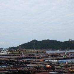 淡路じゃのひれフィッシングパーク 釣果