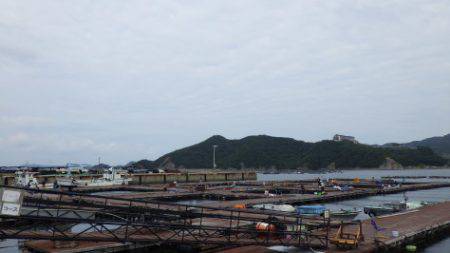 淡路じゃのひれフィッシングパーク 釣果