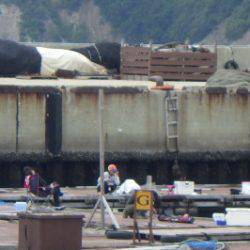 淡路じゃのひれフィッシングパーク 釣果