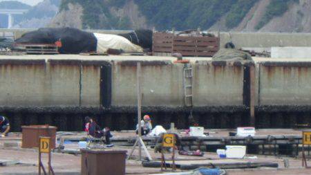 淡路じゃのひれフィッシングパーク 釣果