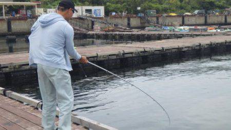 淡路じゃのひれフィッシングパーク 釣果