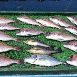 淡路じゃのひれフィッシングパーク 釣果