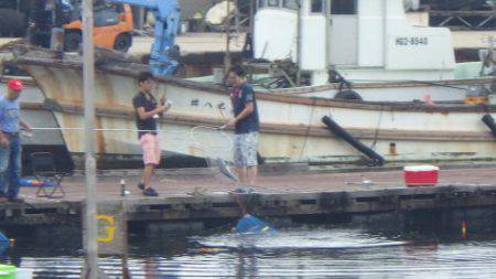 淡路じゃのひれフィッシングパーク 釣果