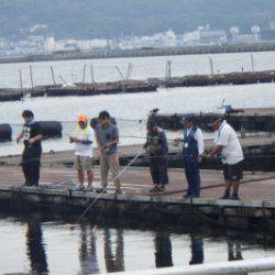 淡路じゃのひれフィッシングパーク 釣果