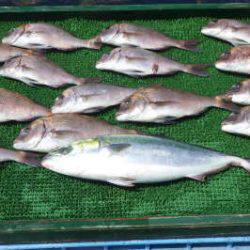 淡路じゃのひれフィッシングパーク 釣果