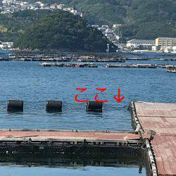 淡路じゃのひれフィッシングパーク 釣果