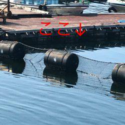 淡路じゃのひれフィッシングパーク 釣果