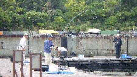 淡路じゃのひれフィッシングパーク 釣果