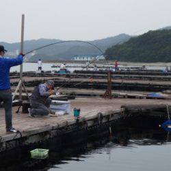淡路じゃのひれフィッシングパーク 釣果