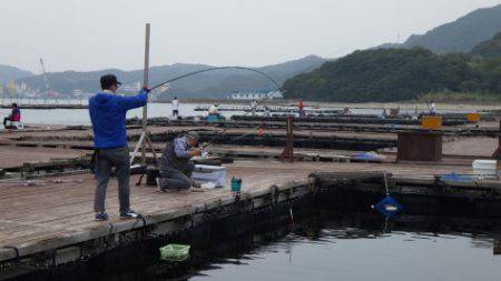 淡路じゃのひれフィッシングパーク 釣果