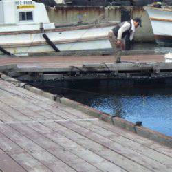 淡路じゃのひれフィッシングパーク 釣果