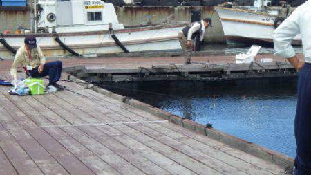 淡路じゃのひれフィッシングパーク 釣果