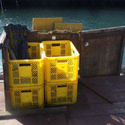 淡路じゃのひれフィッシングパーク 釣果