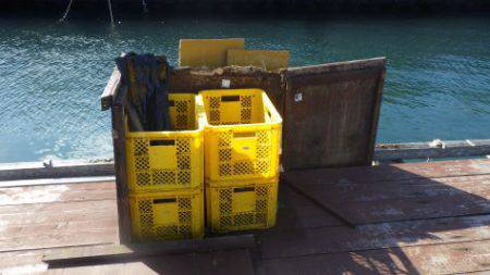 淡路じゃのひれフィッシングパーク 釣果