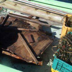 淡路じゃのひれフィッシングパーク 釣果