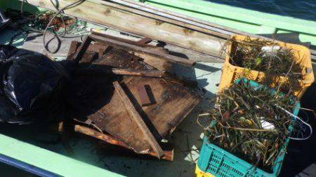 淡路じゃのひれフィッシングパーク 釣果