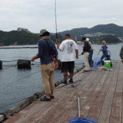 淡路じゃのひれフィッシングパーク 釣果