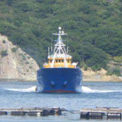 淡路じゃのひれフィッシングパーク 釣果