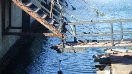 淡路じゃのひれフィッシングパーク 釣果