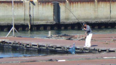 淡路じゃのひれフィッシングパーク 釣果