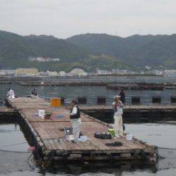 淡路じゃのひれフィッシングパーク 釣果