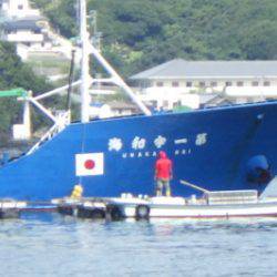 淡路じゃのひれフィッシングパーク 釣果
