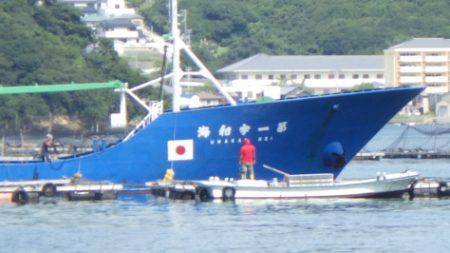 淡路じゃのひれフィッシングパーク 釣果