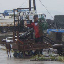 淡路じゃのひれフィッシングパーク 釣果