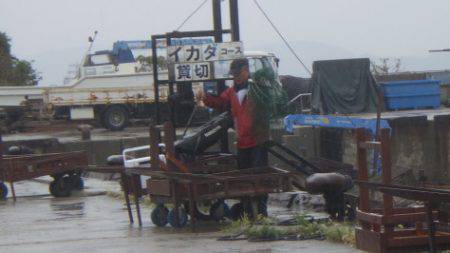 淡路じゃのひれフィッシングパーク 釣果