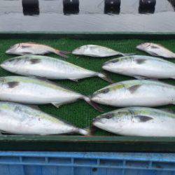 淡路じゃのひれフィッシングパーク 釣果