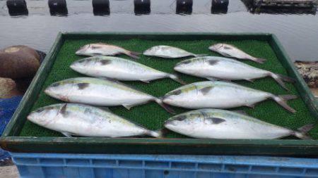 淡路じゃのひれフィッシングパーク 釣果