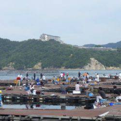 淡路じゃのひれフィッシングパーク 釣果